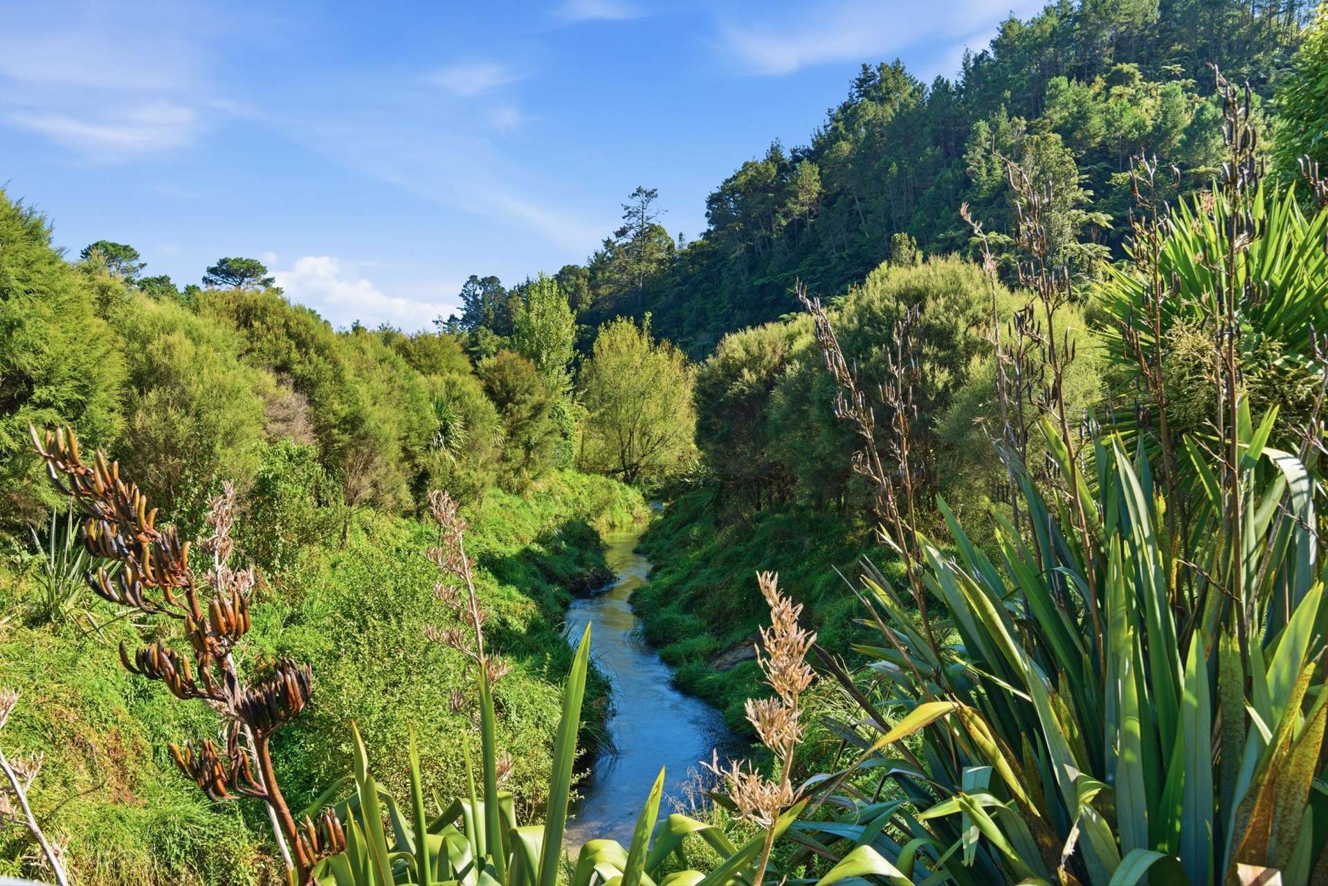 91B Gasson Lane Pyes Pa_0