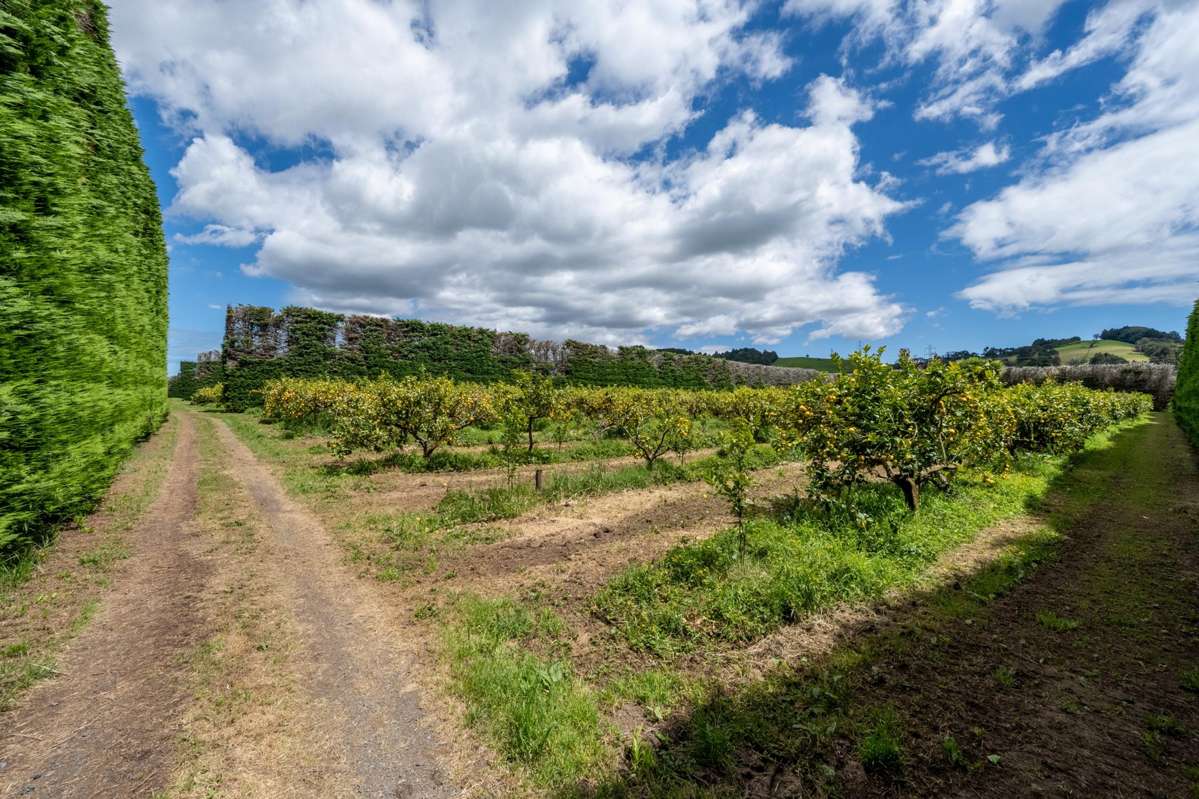 94 Clevedon-Takanini Road_3