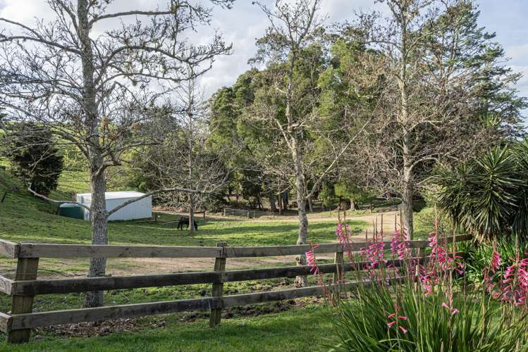 307 Whananaki North Road Opuawhanga_34