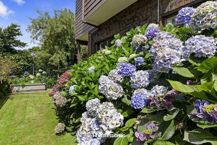 2 Lady Bell Grove Lowry Bay, Eastbourne_21