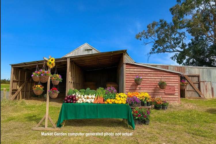 Willowbridge Road Waimate_18