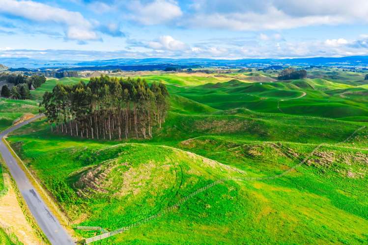 473 Otake Road Marotiri_14