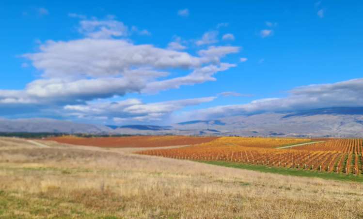 Lot 35 McArthur Road Alexandra_15