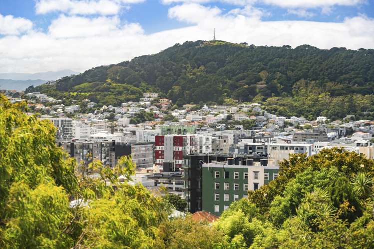 3D/20 Maarama Crescent Aro Valley_9