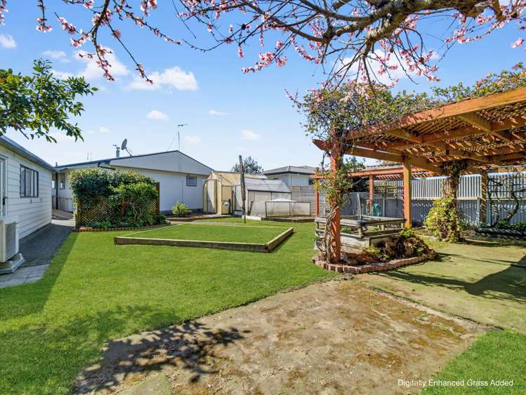 11 Bristol Street Tamatea_14