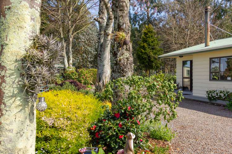 56 Upper Manaia Road Upper Plain_17