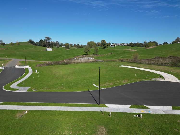 ** Ruru Downs Putaruru_10