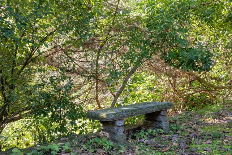 3 Cobden Crescent Bluff Hill_16