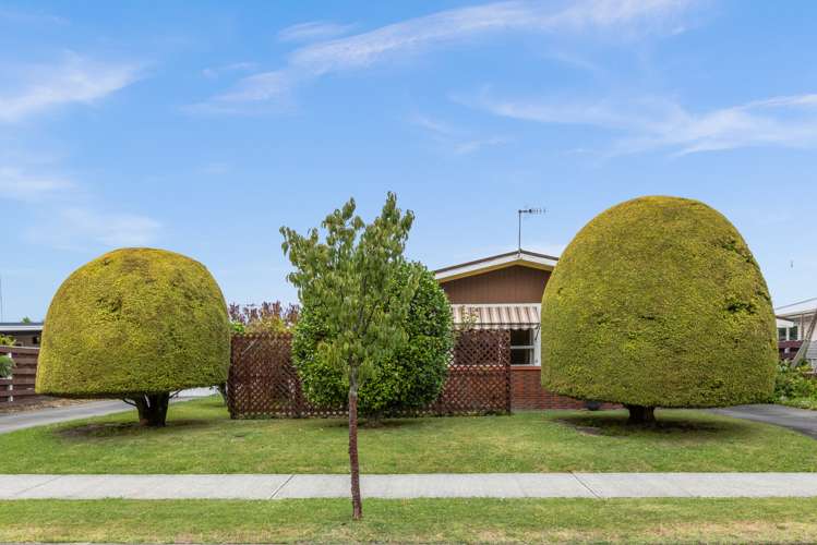 48 Salisbury Avenue Tamatea_16