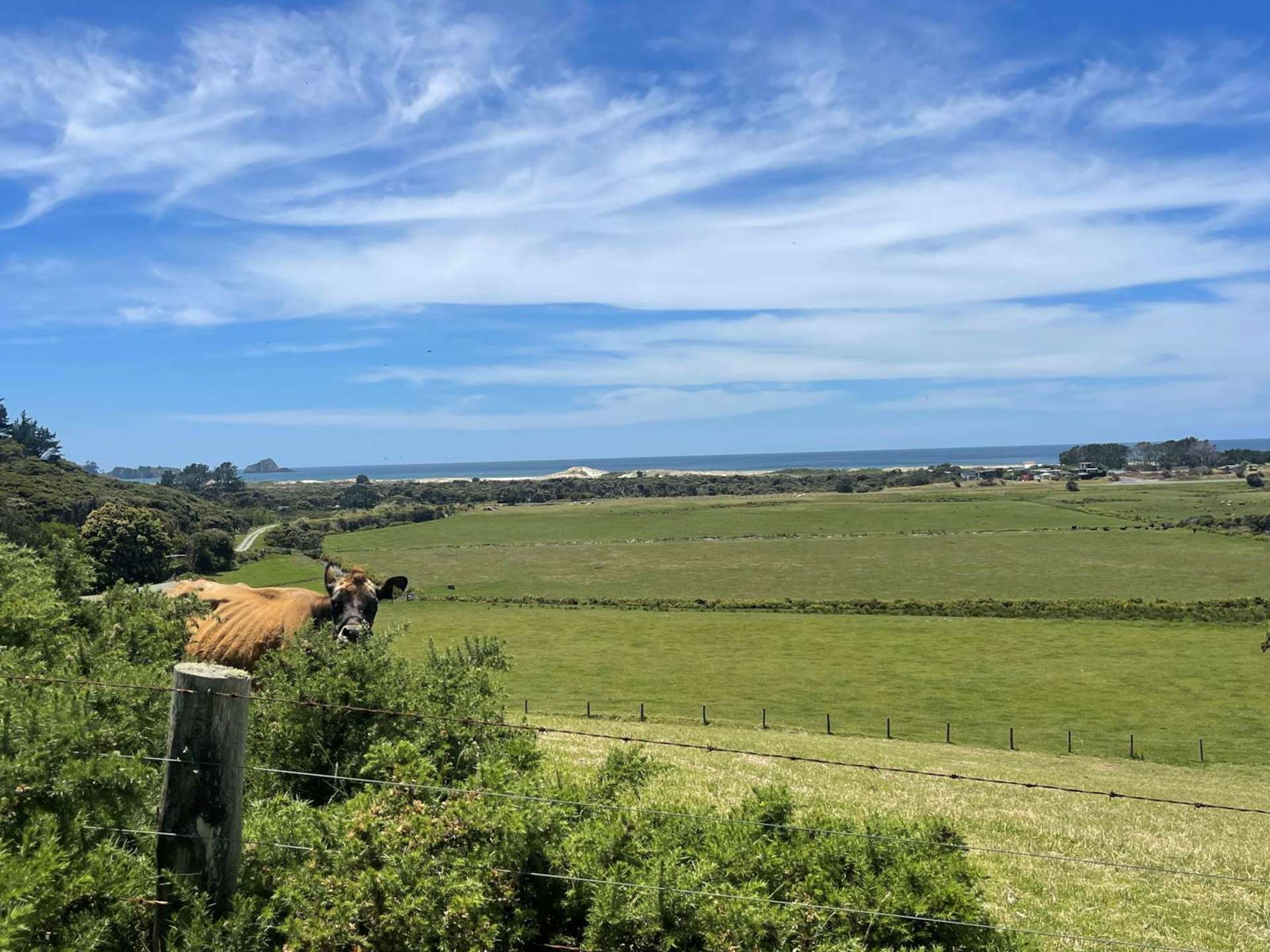 Lot 32 Kaitoke Lane Great Barrier Island_0