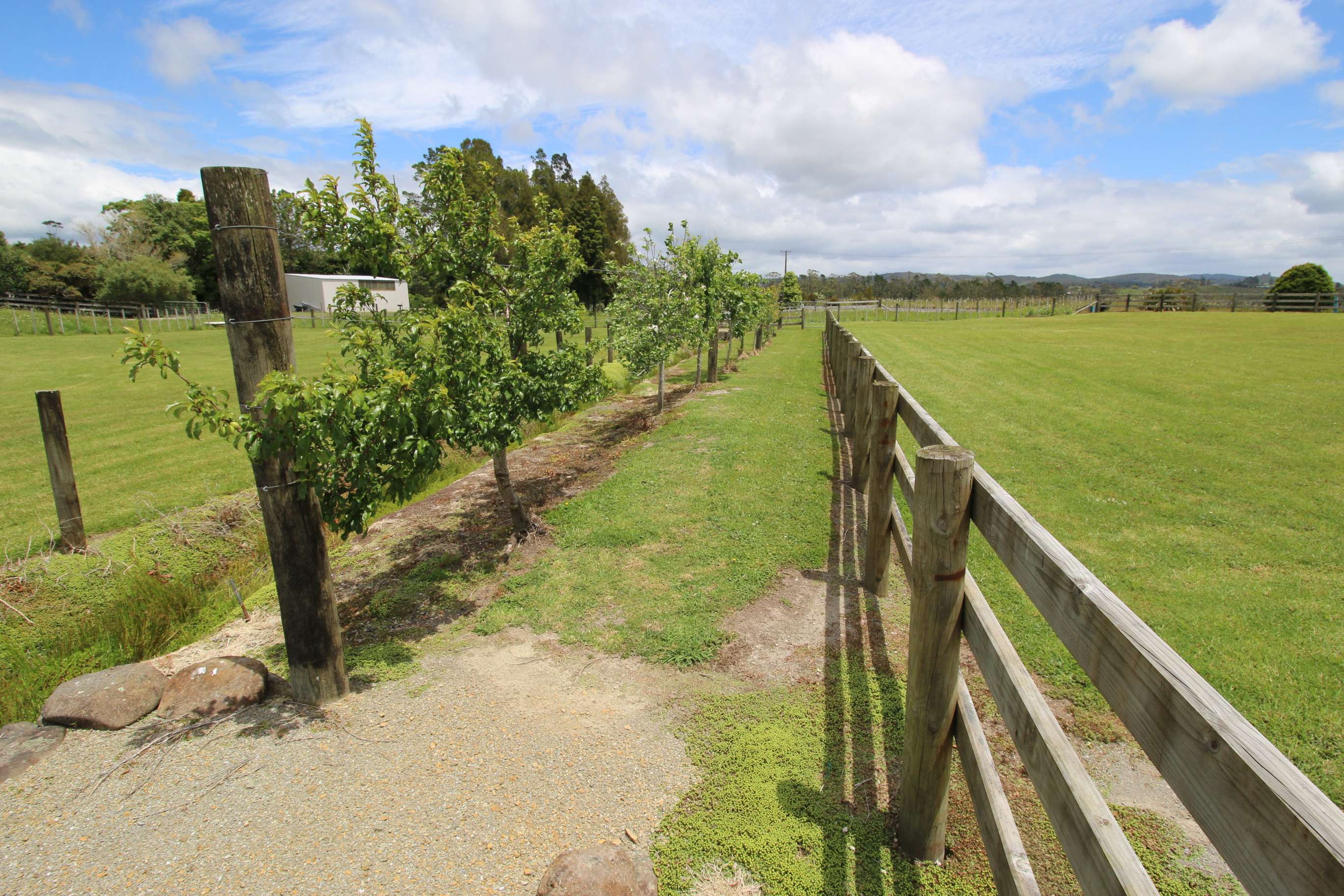 173 Sandys Road Waipapa Far North Rural Property For Sale OneRoof