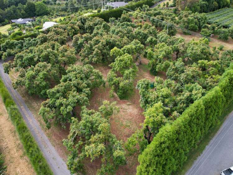 4a Ainsworth Road Wairoa_13