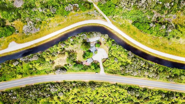 94 Dillmanstown Kumara_21