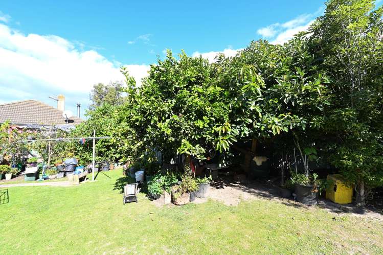 19 Constable Crescent Onekawa_14