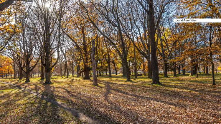 129 Deans Avenue Riccarton_17