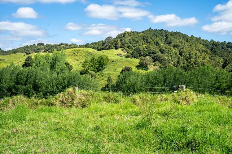 278 Griffin Road Maungaturoto_9