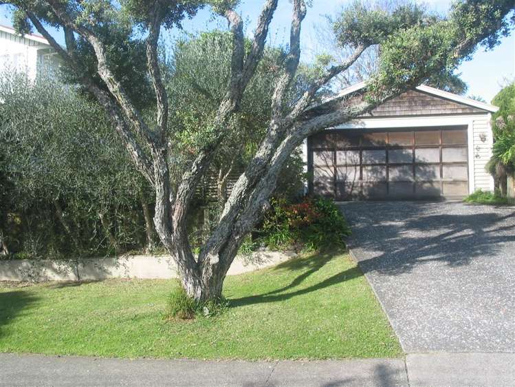 29 Ewen Street Hauraki_6