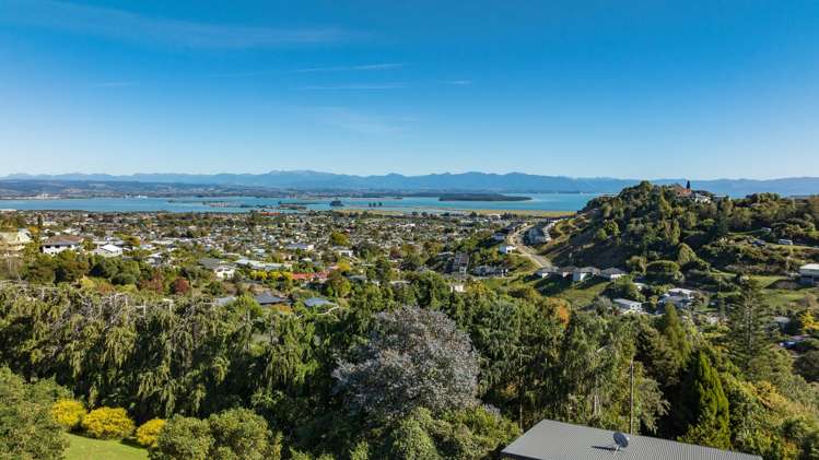 64 Newman Drive Enner Glynn_13