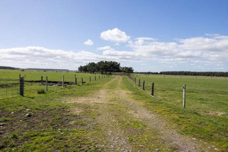 526 Lake Road Himatangi_16