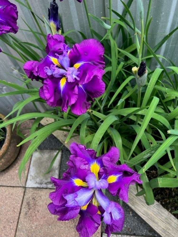 92 Reservoir Street Putaruru_30