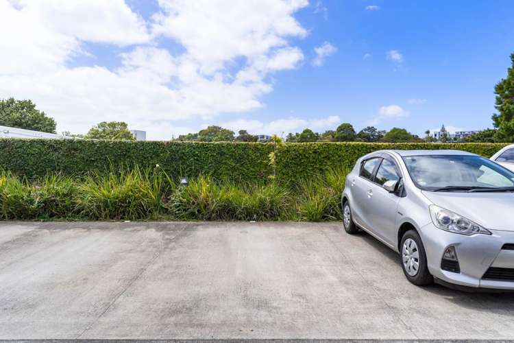 G04/26B Racecourse Parade Avondale_15