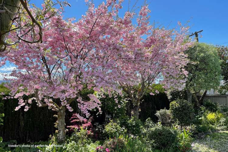 63 Inkerman Street Renwick_46