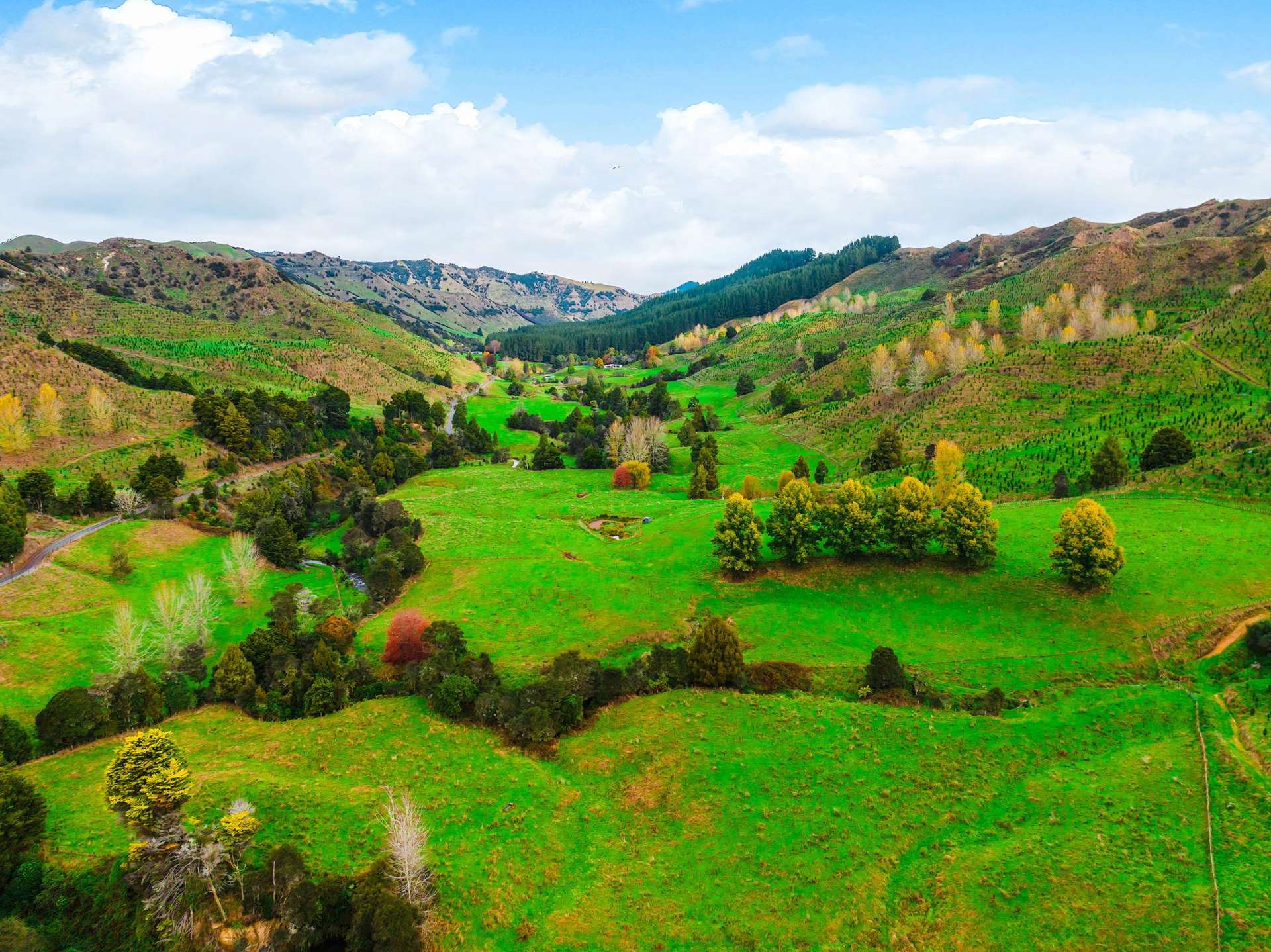 189 Whakamaro Road Taumarunui_0