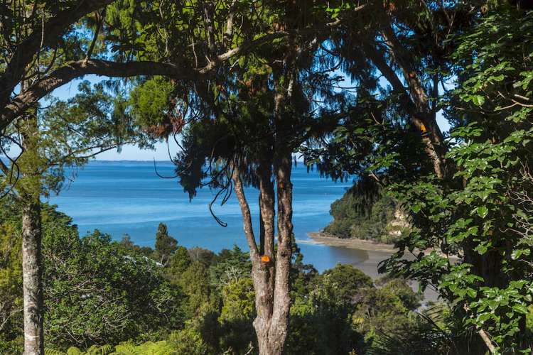 15 Takahe Road Titirangi_11