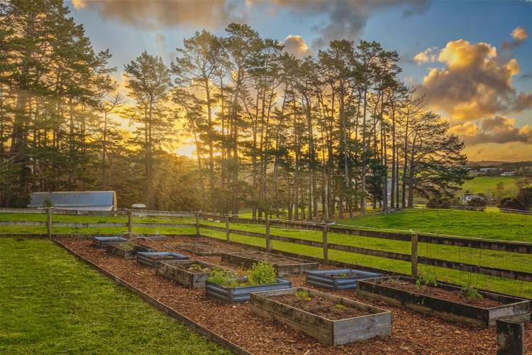 1115 State Highway 16 Waimauku_37