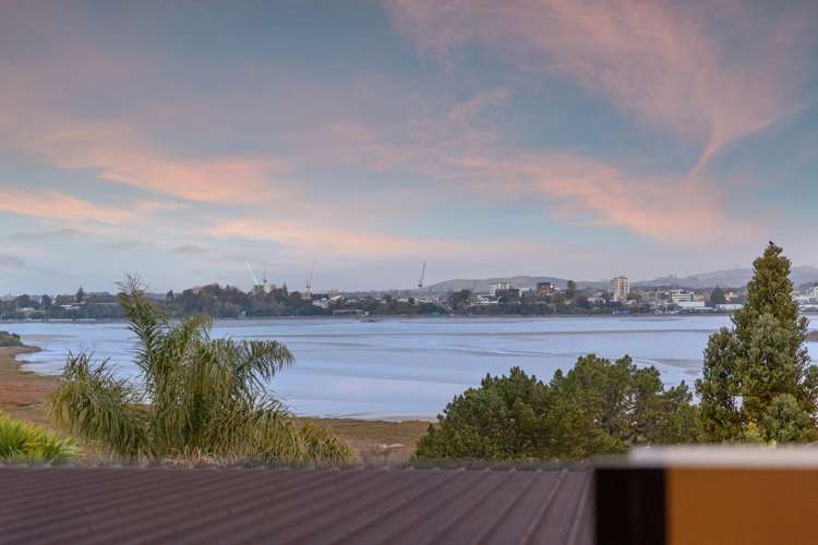 3/228 Grange Road Otumoetai_16