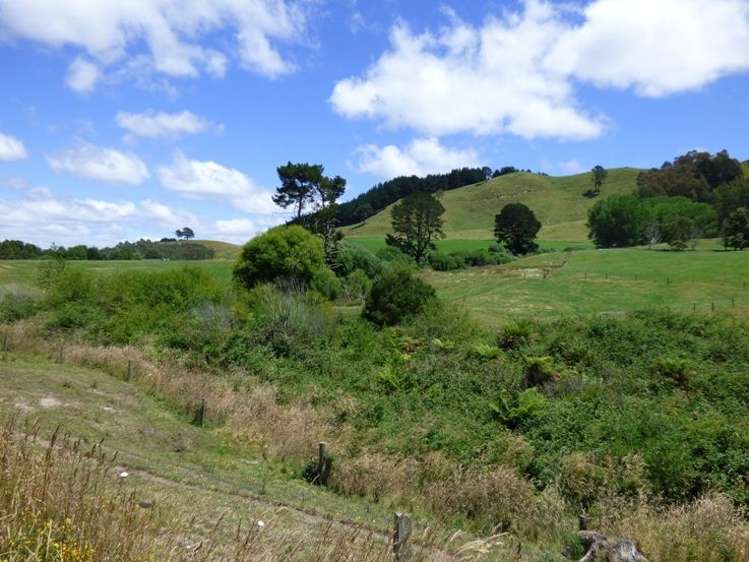 1370 Te Kopia Road Waikite Valley_17