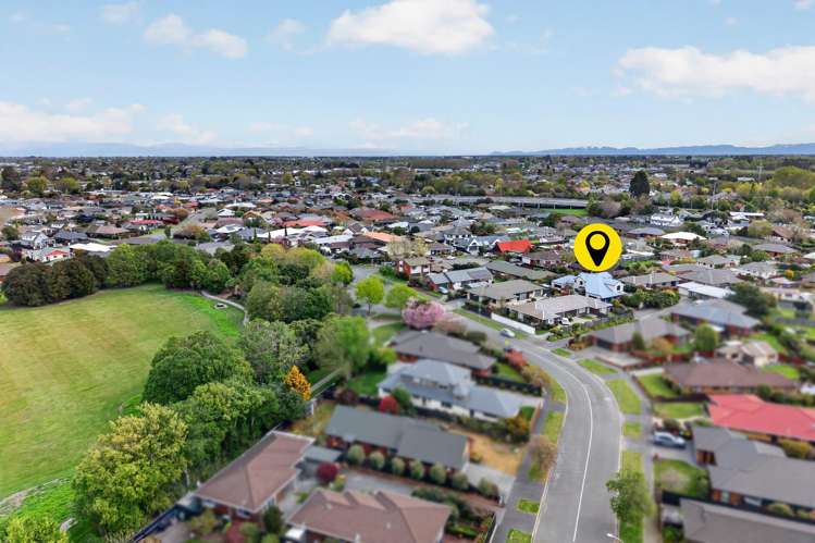 55 Lowry Avenue Redwood_32
