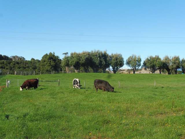 Adair Road Ruatapu_3