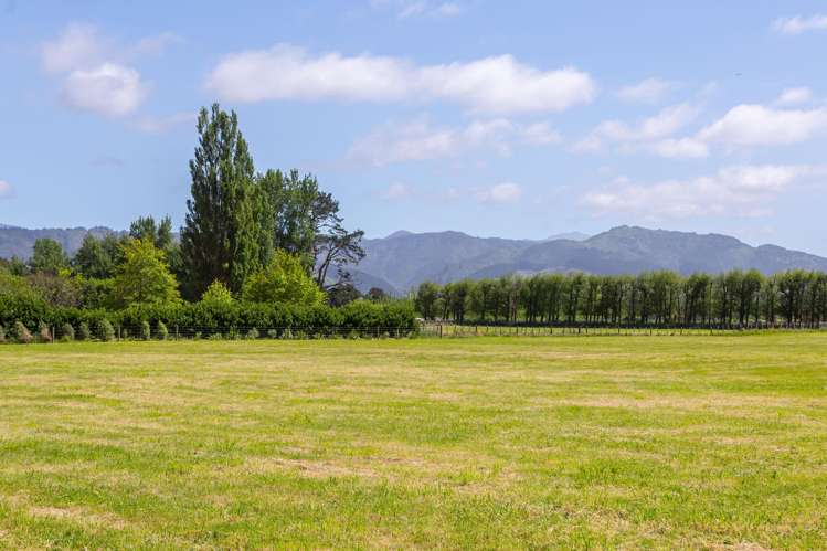 228B Wood Street Greytown_10