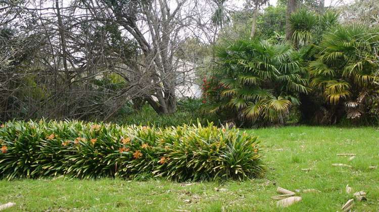 1116 Leigh Road Matakana_27