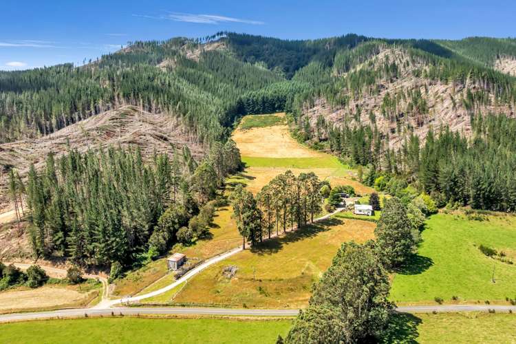 739 Tadmor-Glenhope Road Tapawera_17