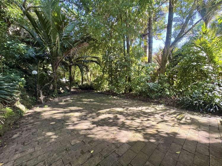 87 Gillies Avenue 1662_16