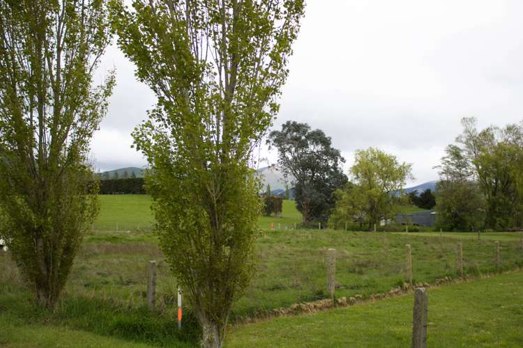 Waiwera Station Road Clinton and Surrounds_1