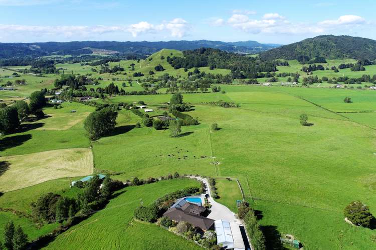 101 Guy Road Kaipara Flats_5