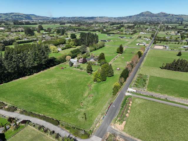 Discover the Best of Both Worlds on Tirohanga Road