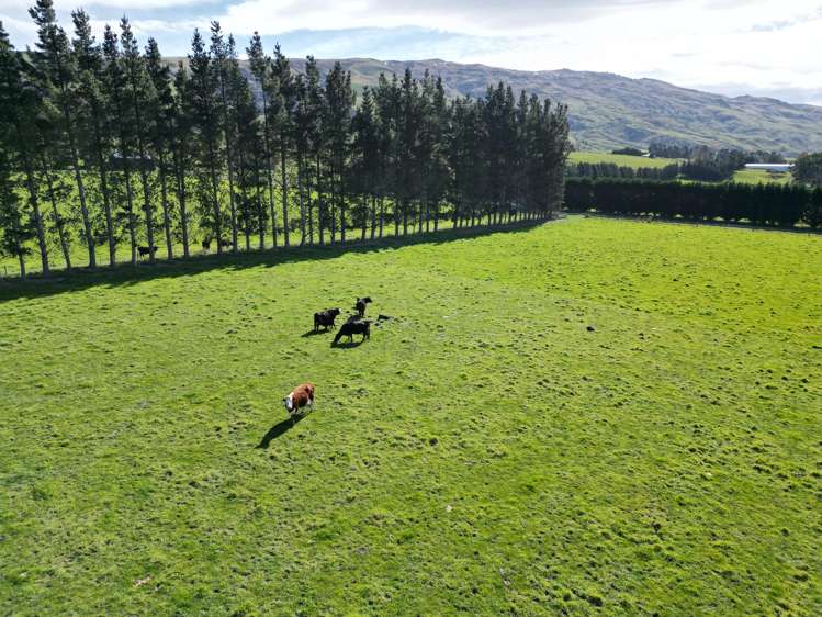 90 Dalmuir Road Ettrick_25