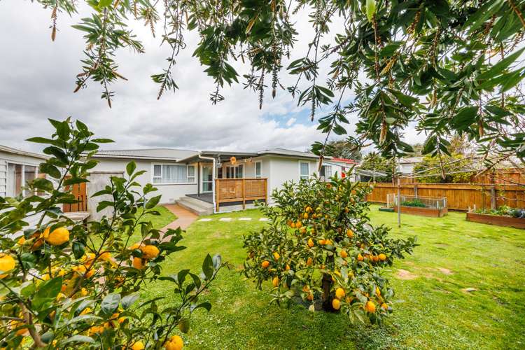 50 Sheffield Street Awapuni_14