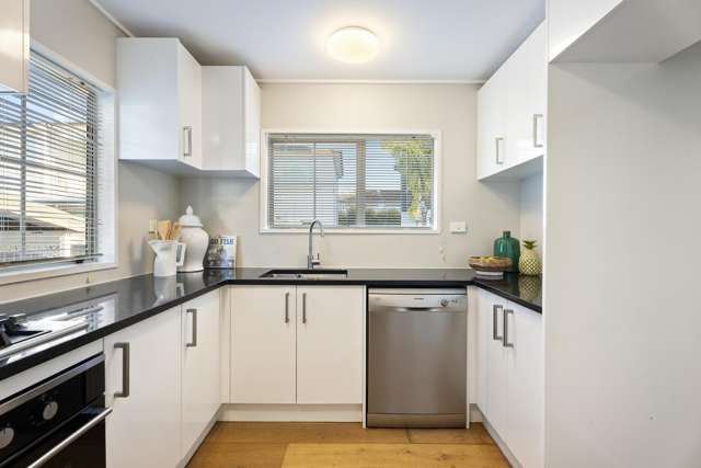 35B Atkin Avenue Mission Bay_2