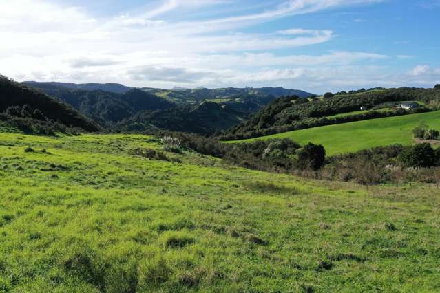 74 Waipu Caves Estate Drive (Pvt) Waipu_4