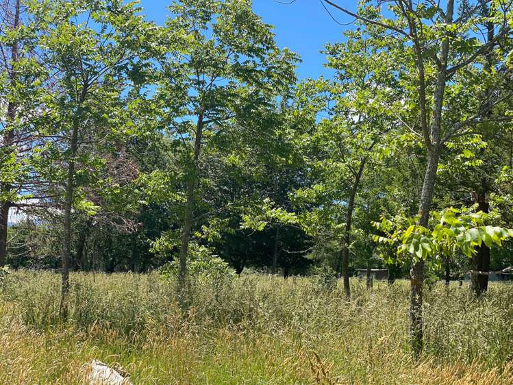 783 Chester Road Carterton_13