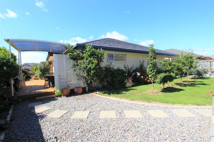 19 Korari Grove Redwoodtown_7