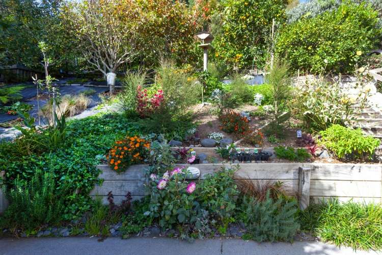 126 Oratia Place Onemana_22