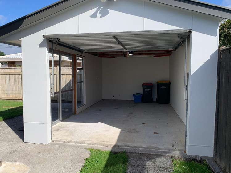 406 Carrington Street Vogeltown_5