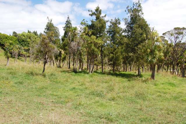 135 Phillips Road Kaiwaka_1