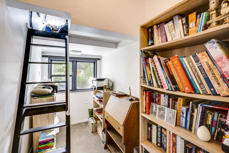 41 Carnell Street Napier South_14